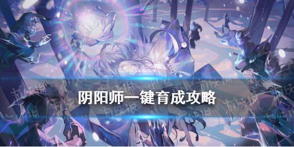 阴阳师一键育成怎么用（阴阳师式神一键育成）