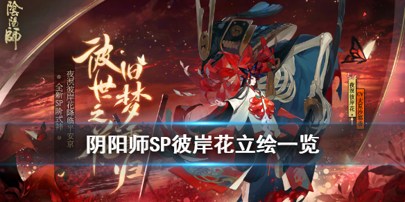 阴阳师SP彼岸花立绘一览（手绘阴阳师彼岸花）