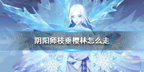 阴阳师枝垂樱林怎么走 阴阳师枝垂樱林怎么走25格