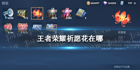 王者荣耀祈愿花在哪（王者荣耀祈愿花在哪里）