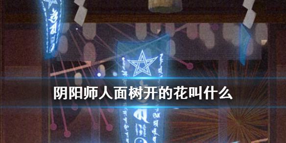 阴阳师人面树开的花叫什么（阴阳师人面树是什么式神）