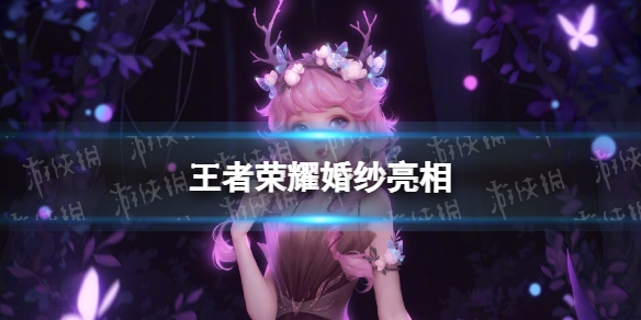 王者荣耀婚纱亮相（王者荣耀花开婚纱）