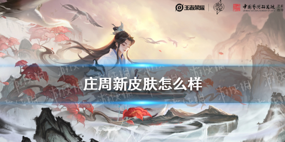 庄周新皮肤怎么样（庄周的新皮肤长什么样）