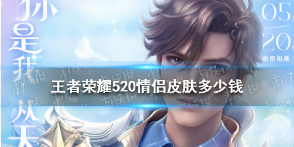 王者荣耀520皮肤多少钱（王者520皮肤价格）