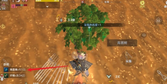 妄想山海青菩果在哪（妄想山海冰青菩果在哪）