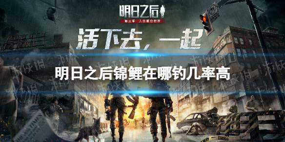 明日之后锦鲤在哪钓几率高（明日之后锦鲤在哪钓几率高最新）