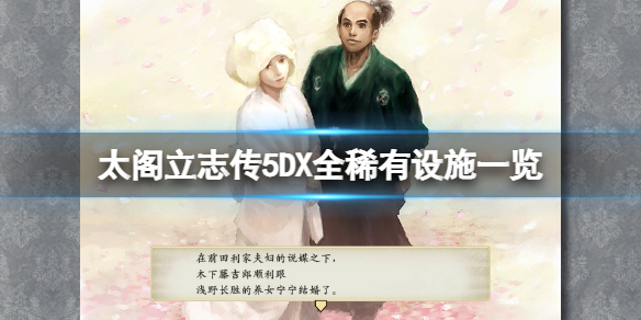 太阁立志传5DX稀有设施有哪些（太阁立志传5增筑）