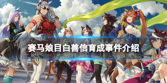 赛马娘目白善信事件怎么选（赛马娘白仁事件）