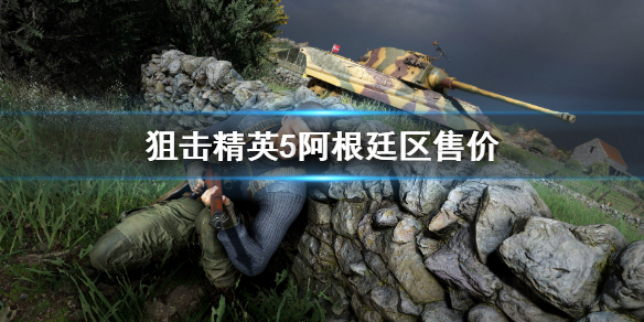 狙击精英5阿根廷区售价 狙击精英5多少钱