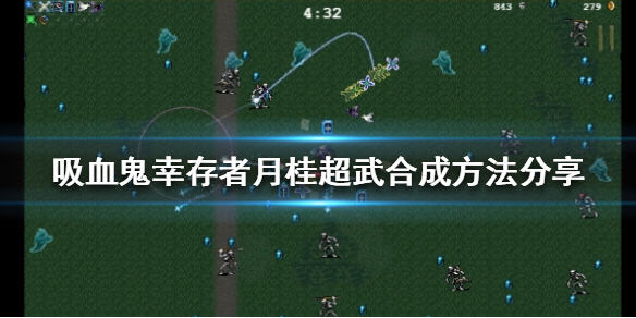 吸血鬼幸存者月桂如何合成
