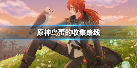 原神鸟蛋的收集路线 原神的鸟蛋在哪里得到