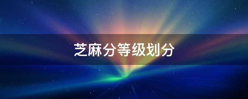 芝麻分等级划分 支付宝芝麻分等级划分