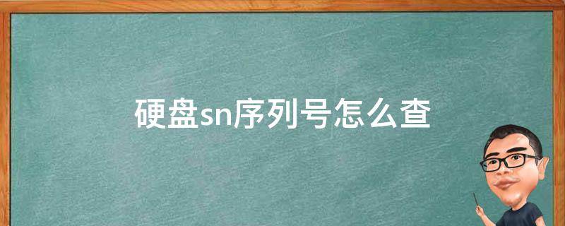 硬盘sn序列号怎么查（硬盘sn序列号怎么查 硬盘序列号）