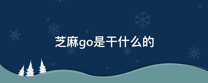 芝麻go是干什么的 芝麻go是干什么的会收费吗