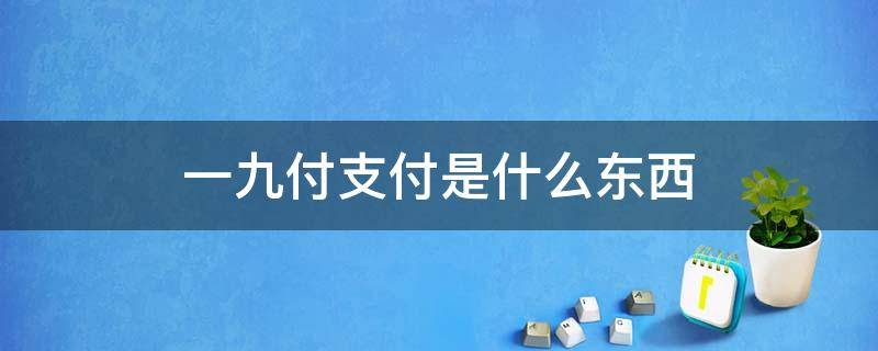 一九付支付是什么东西（北京一九付支付是什么）