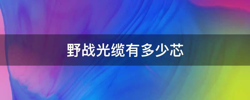野战光缆有多少芯（野战光缆型号）