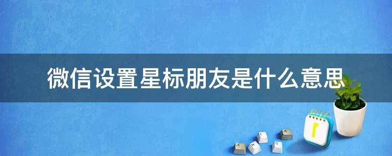 微信设置星标朋友是什么意思 微信设置成星标朋友是什么意思