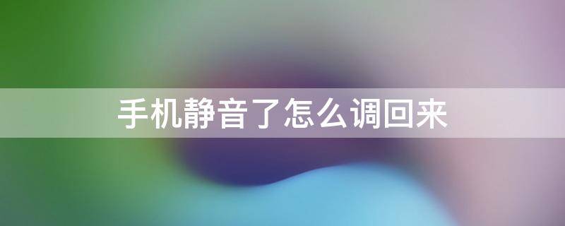 手机静音了怎么调回来（苹果12手机静音了怎么调回来）