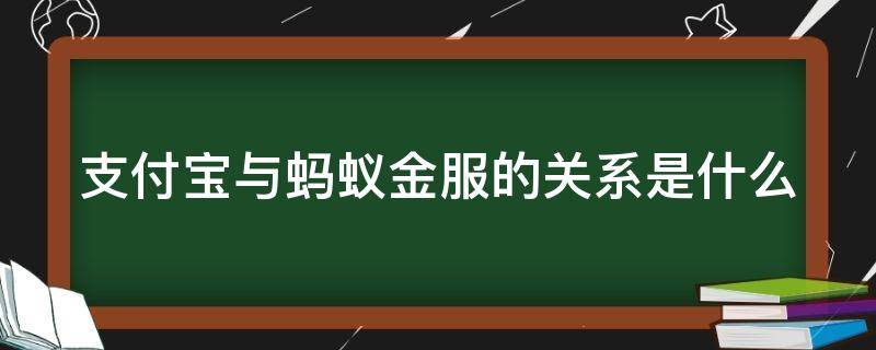 支付宝与蚂蚁金服的关系是什么 支付宝与蚂蚁金服的关系是什么样的