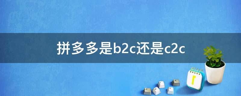 拼多多是b2c还是c2c（拼多多属于c2b）