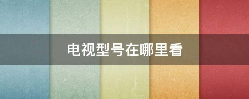 电视型号在哪里看（海信电视型号在哪里看）