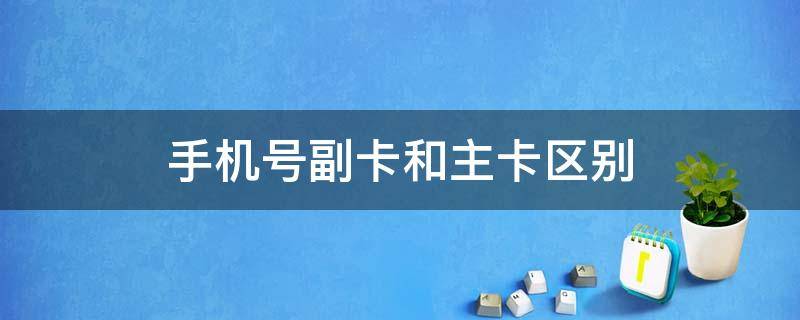 手机号副卡和主卡区别（手机号副卡和主卡区别都能做山竹泉吗）