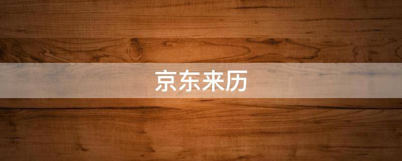 京东来历 京东商城的来历