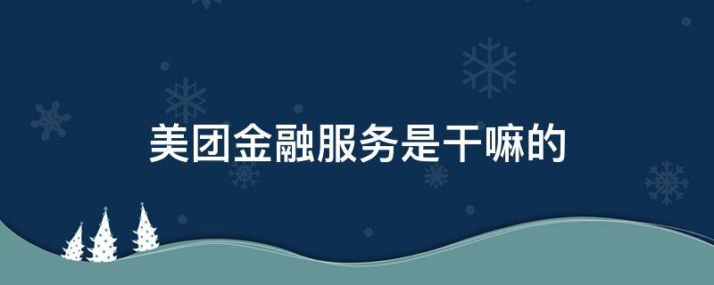 美团金融服务是干嘛的 美团金融服务是干什么的