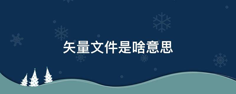 矢量文件是啥意思（有矢量文件吗）