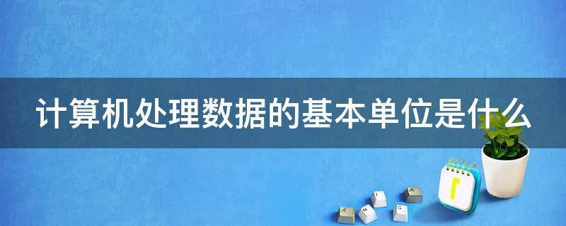 计算机处理数据的基本单位是什么（计算机处理数据的基本单位是文件对不对）