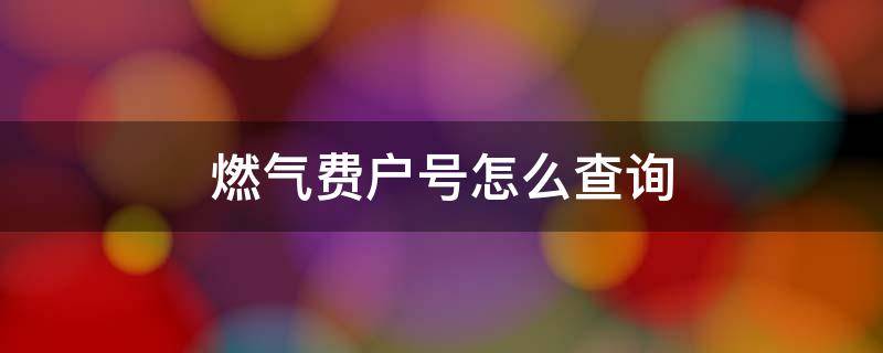 燃气费户号怎么查询（燃气费户号怎么查询电话）