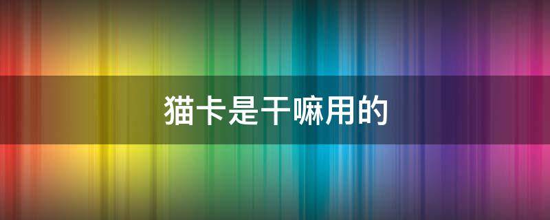 猫卡是干嘛用的（猫卡可以干什么）