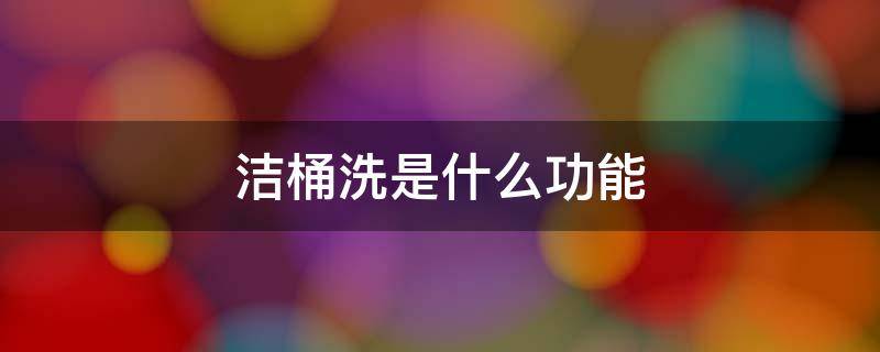 洁桶洗是什么功能（什么叫洁桶洗）