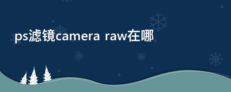 ps滤镜camera（ps滤镜cameraraw为什么用不了）