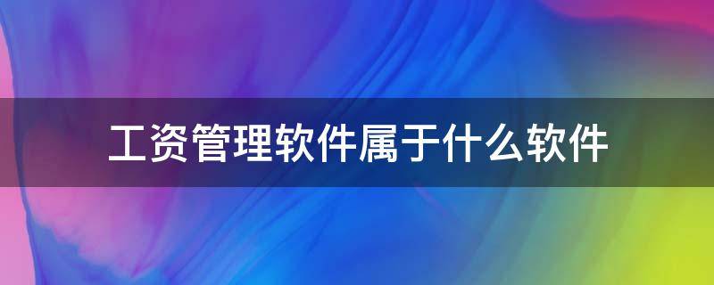 工资管理软件属于什么软件（单位的工资管理软件属于什么软件）