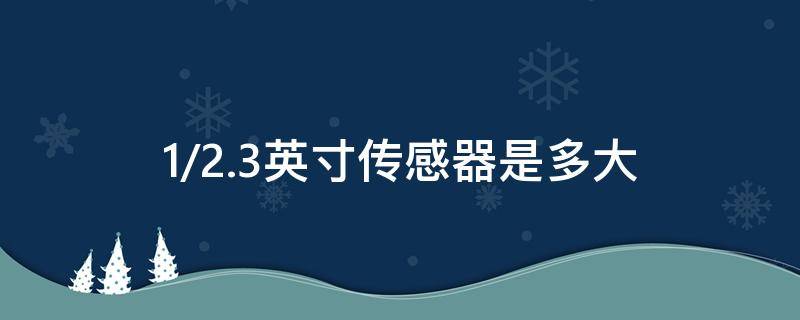 1/2.3英寸传感器是多大 123英寸传感器是多大