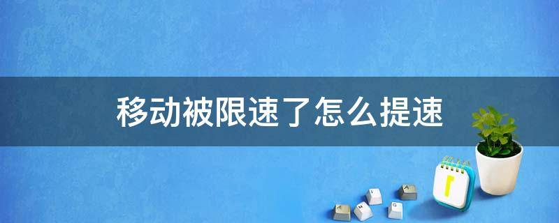 移动被限速了怎么提速 移动限速了怎么办?
