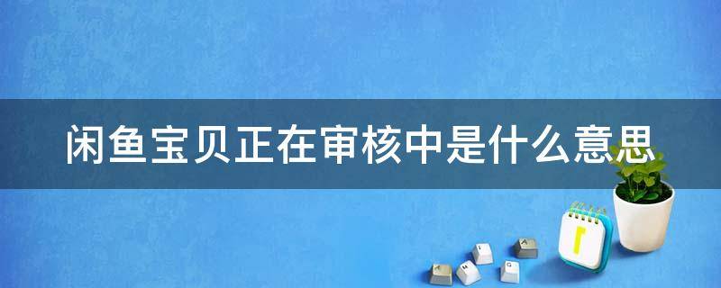 闲鱼宝贝正在审核中是什么意思 闲鱼宝贝正在审核中是什么意思呀