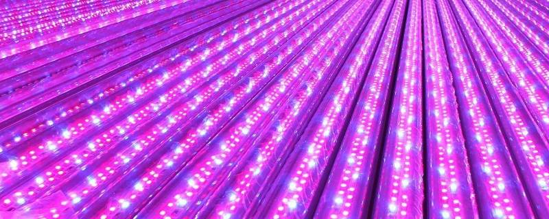 led灯属于什么垃圾分类（LED灯泡是属于什么垃圾）