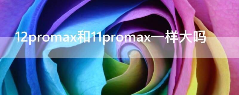 12promax和11promax一样大吗 12promax和12一样大吗