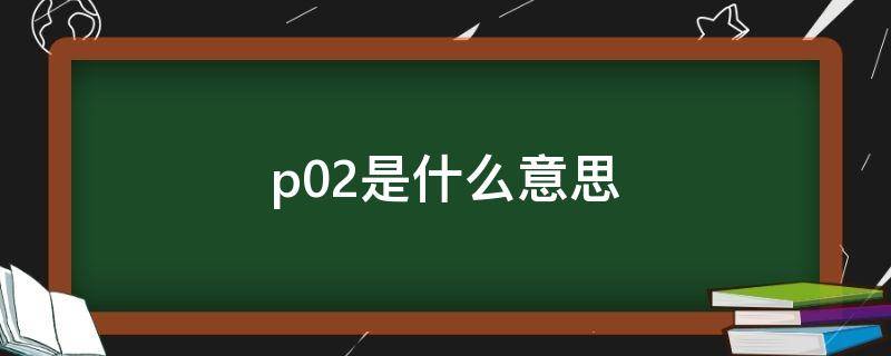 p02是什么意思 血液p02是什么意思