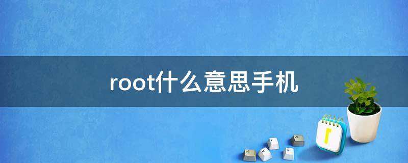 root什么意思手机（root是什么意思）