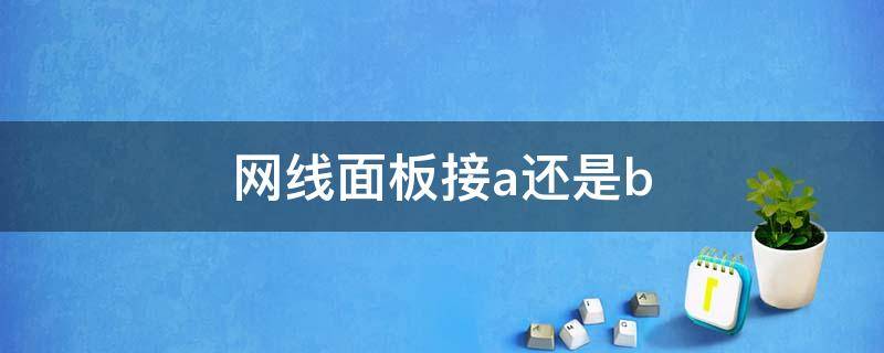 网线面板接a还是b（网线面板接a还是b 千兆）