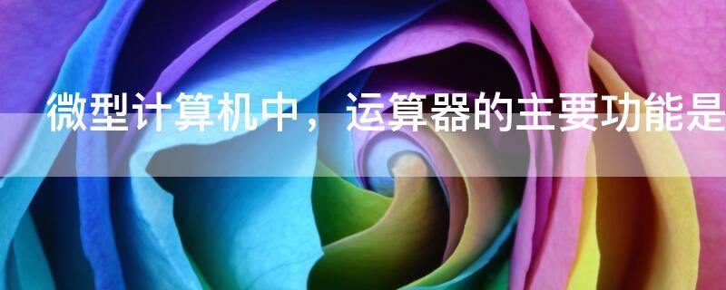 微型计算机中，运算器的主要功能是进行