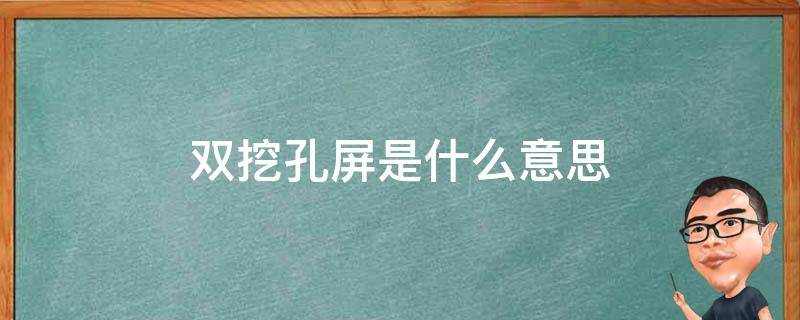双挖孔屏是什么意思（什么叫双挖孔屏）