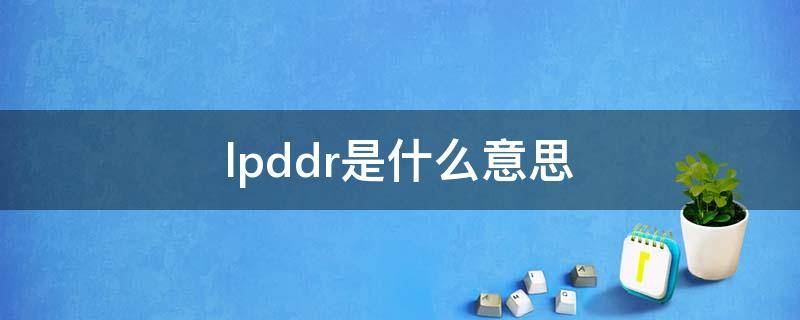 lpddr是什么意思（lpddr中文）