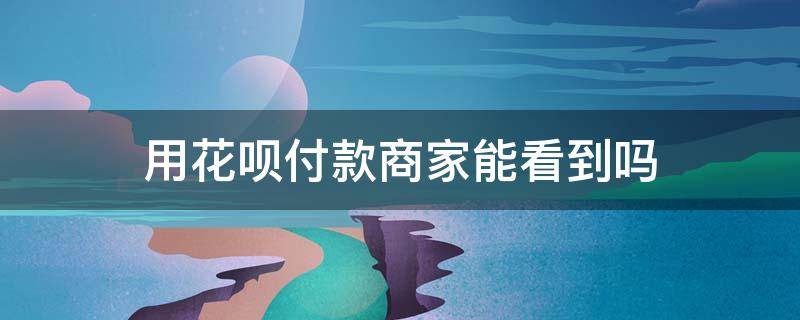 用花呗付款商家能看到吗（实体店用花呗付款商家能看到吗）
