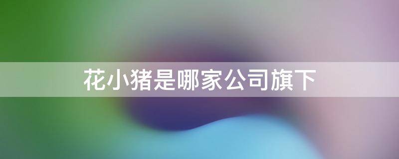花小猪是哪家公司旗下（花小猪是谁的公司）