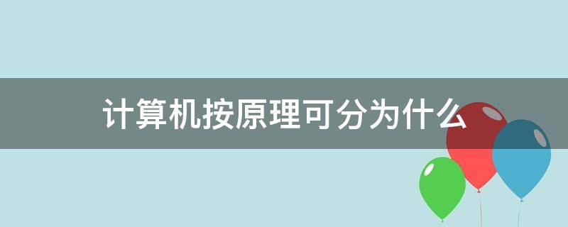 计算机按原理可分为什么（计算机按原理可分为）