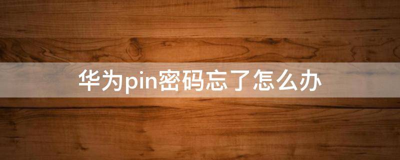 华为pin密码忘了怎么办（华为pin密码忘记）